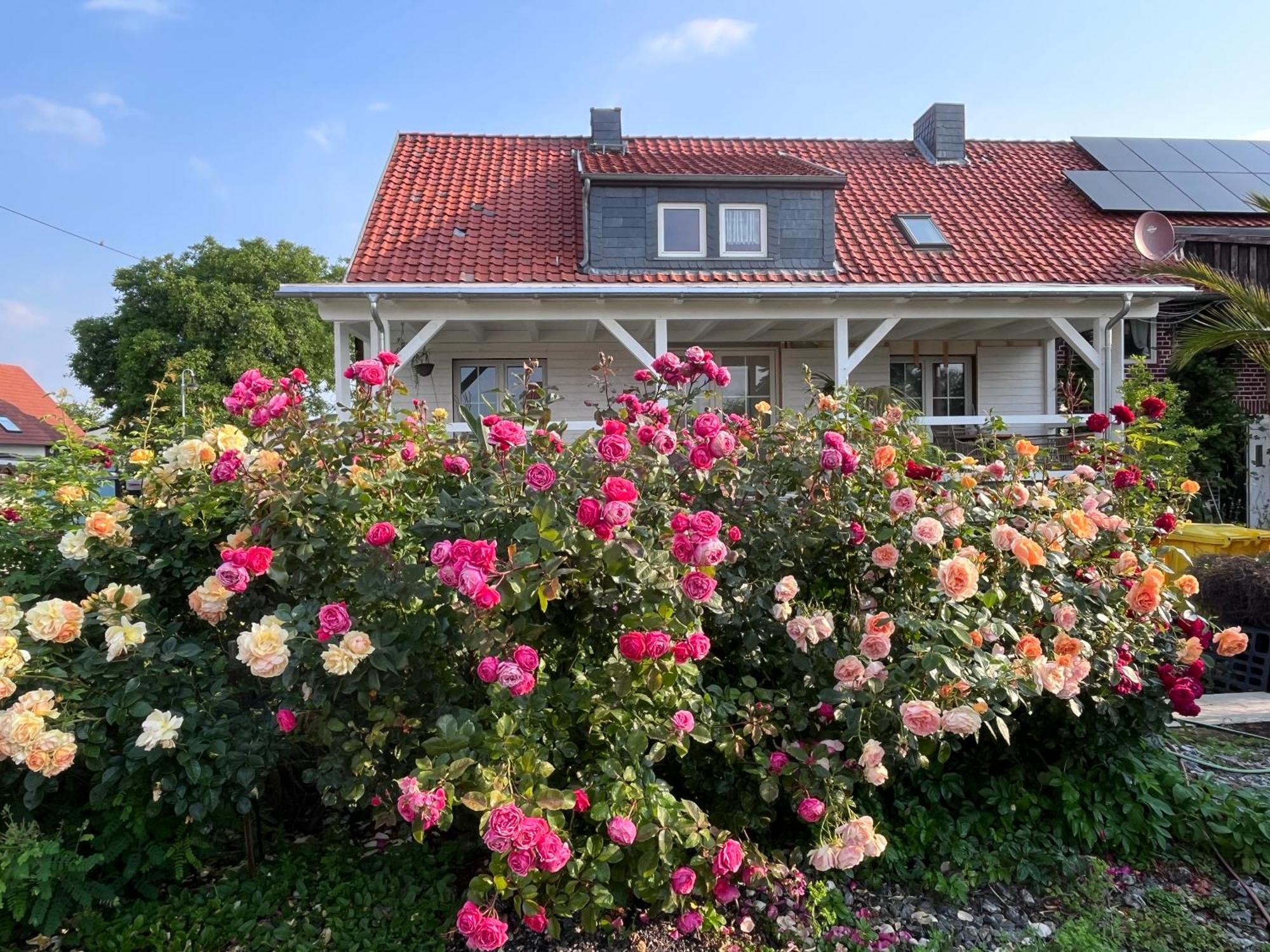 Spindler Hof Harz Apartment Langeln (Saxony-Anhalt)